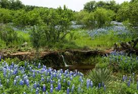 texas hill country real estate broker