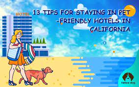 pet friendly hotels in california