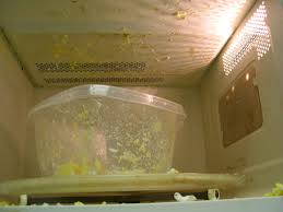 If you have limited space like a microfridge, you can buy a 6 pack of eggs and boil them all together. Why Boiled Eggs Explode In The Microwave Myrecipes