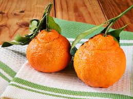 sumo oranges everything you need to
