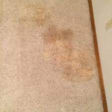 sears carpet cleaning and air duct