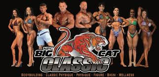 npc big cat clic iron sharpens