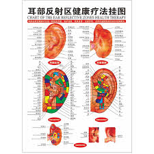 Us 2 69 10 Off 1pc Scrapping Healthcare Human Acupuncture Wall Chart Diagram Ear Acupuncture Meridian Chart In Massage Relaxation From Beauty