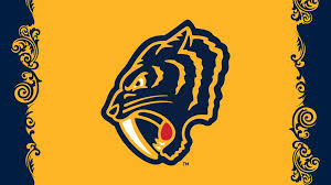 The nashville predators is an american team of professional ice the unique logo of the nashville hockey players appeared before the formation of the squad. Preds Unveil Shoulder Patch Logo For 2020 Bridgestone Nhl Winter Classic