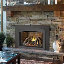 Gdix4n Napoleon Fireplaces Oakville X4