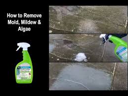 How To Remove Mold Mildew And Algae