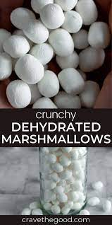 dehydrate marshmallows in dehydrator