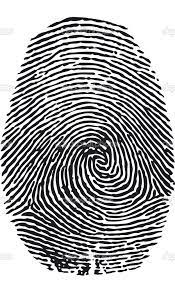 Fingerprints - Inked