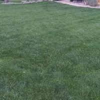 Lawn fertilizer companies near you. The 10 Best Lawn Care Services In Ballwin Mo From 30