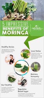 the many benefits of moringa oleifera