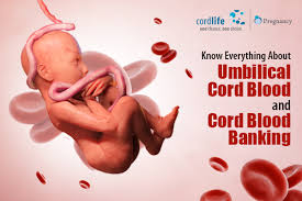 umbilical cord blood and cord blood banking