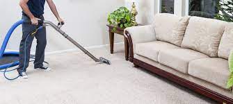 looking for dublin ohio carpet cleaner