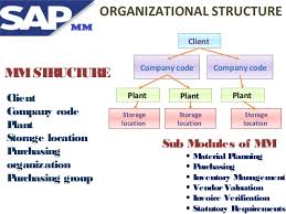 Sap Material Management Online Training