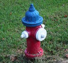 fire hydrant colors actually mean something