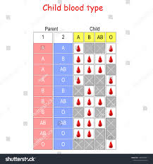 Child Blood Type Chart How Mother Stock Vector Royalty Free