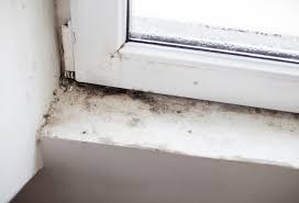what does mold in a basement smell like