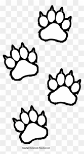 Learn how to draw tiger black and white pictures using these outlines or print just for coloring. White Tiger Clip Art Transparent Png Clipart Images Free Download Clipartmax