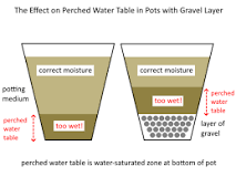 should-you-put-gravel-at-the-bottom-of-pots