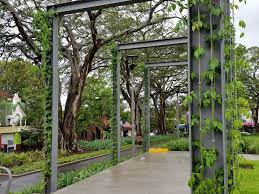 Using Vertical Garden Frames As Plant