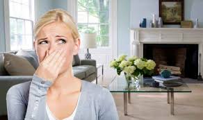 Common Causes Of Bad Smells At Home