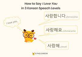how to say i love you in korean an