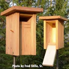 Nest Box Plans