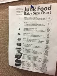 Best Baby Size Chart Junk Food Glow Community