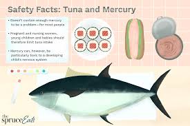 how much tuna is safe to eat