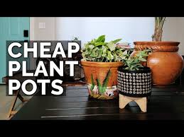 Plant Pots Vs Target Vs