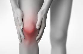 what causes inside knee pain chris