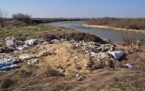 Imagini revoltătoare pe râul Mureș. Mesajul unor ecologiști care luptă să reducă poluarea - Stirileprotv.ro
