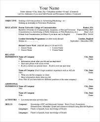 Resume Sample for a CEO