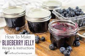 homemade blueberry jelly recipe quick