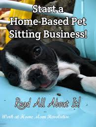 Work At Home How To Start Your Own Pet Sitting Business Work At