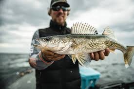 Mastering Walleye Fishing Advanced