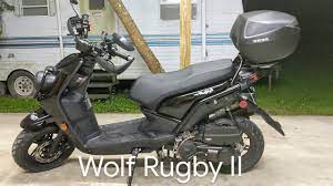 wolf rugby ii you