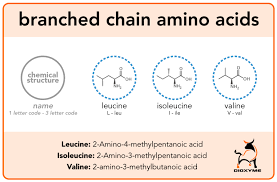 15 Benefits Of Bcaas Branched Chain Amino Acids 2019