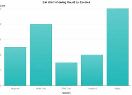 Activity Create And Share A Simple Bar Chart Paths To