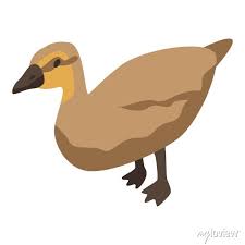 Animal Duck Icon Isometric Of Animal
