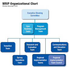New Mrip Organizational Structure Reflects Greater Emphasis