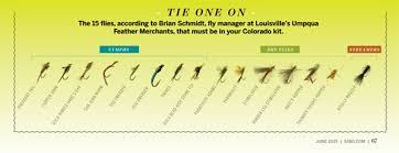 The Beginners Guide To Fly Fishing In Colorado 5280