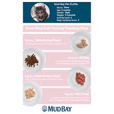 Many cats don't drink enough! A Visual Guide To Adding Variety To Your Dog Or Cat S Diet