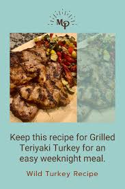 easy grilled teriyaki turkey