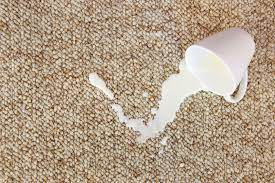 how to clean up spilled milk on carpets