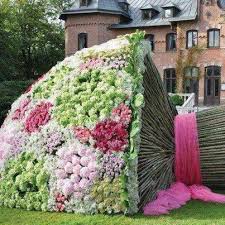 Mazzi di fiori con 99 prodotti. 99999999999999999999999999999999 Plants Giant Flowers Beautiful Gardens