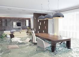 insurance company after a disaster