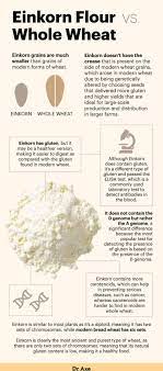 what is einkorn flour health benefits