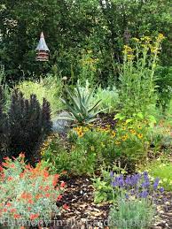 My Top 30 Native Plants For The Garden