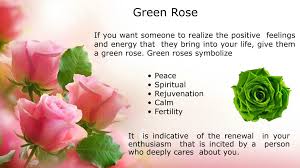 ppt significance of roses colors
