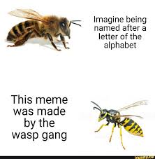 180 1 i love memes and woodworking! Imagine Being Named After A Letter Of The Alphabet This Meme Was Made By The Wasp Gang